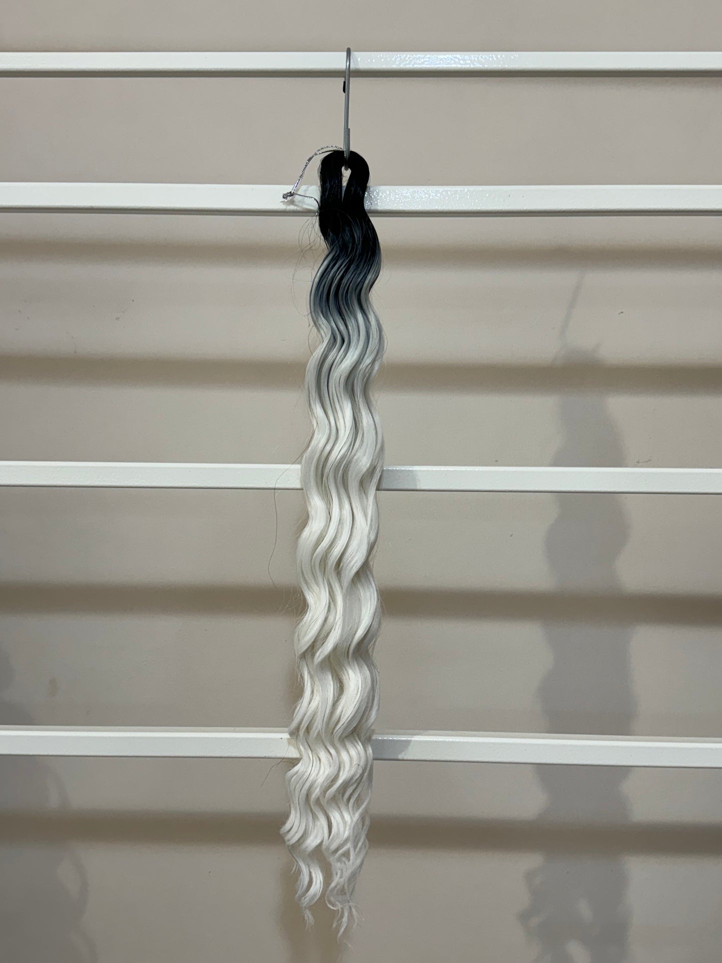 Riccio Isabel n.TT4-56D