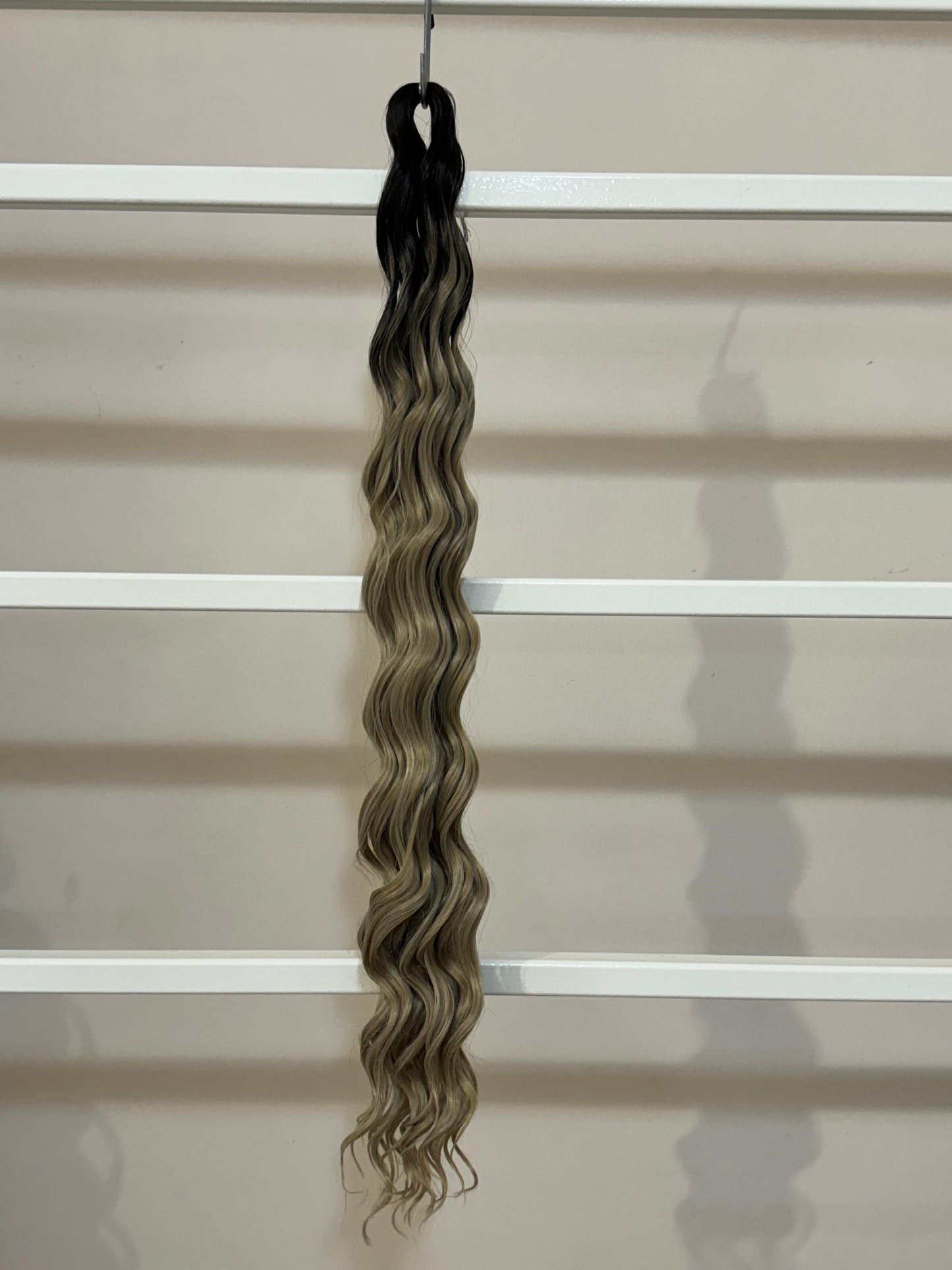 Riccio Isabel n.TT-IGRAY5